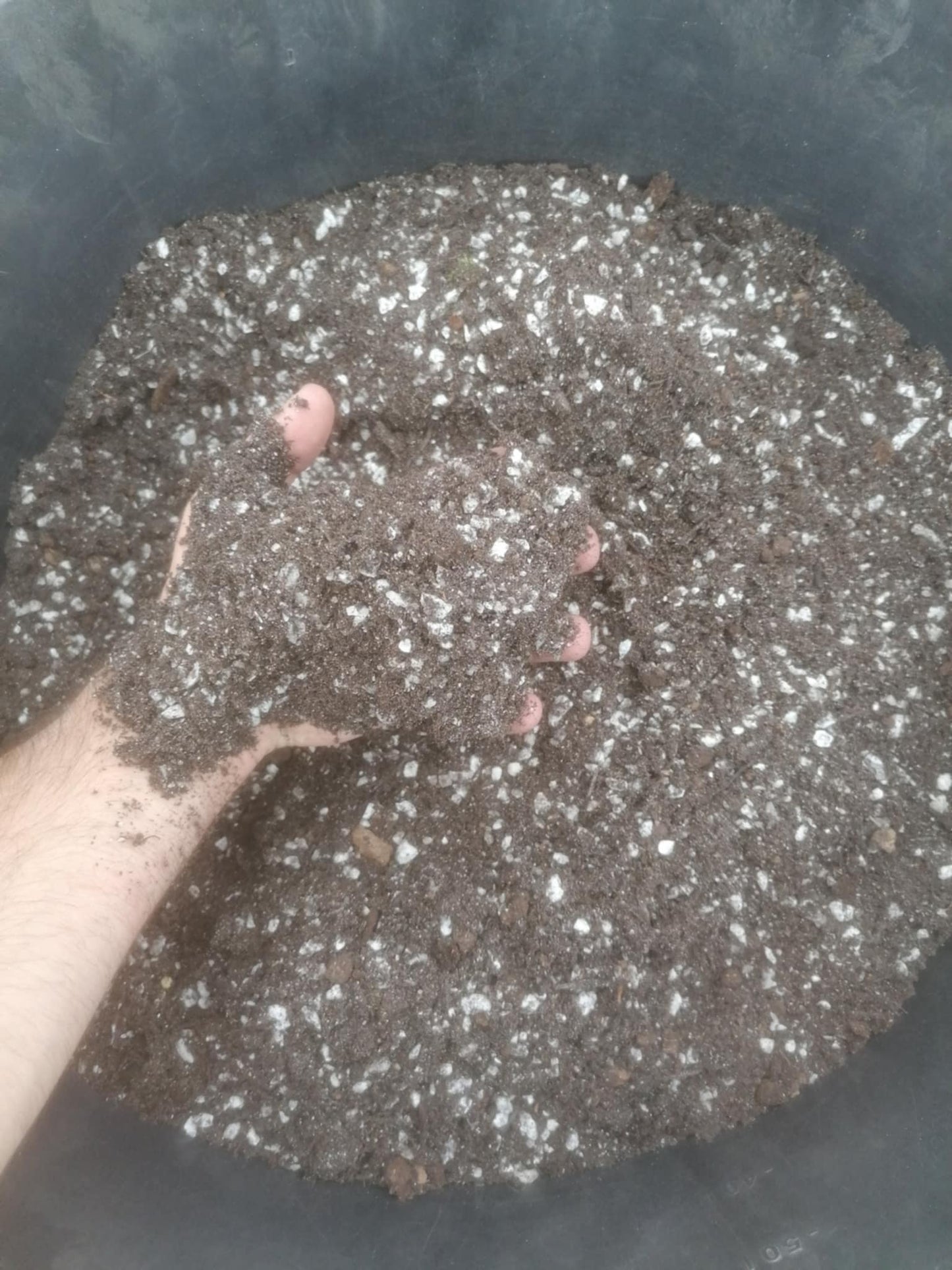 2.5L Premium Cactus & Succulent Soil