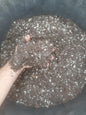 2.5L Premium Cactus & Succulent Soil