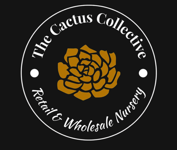 The Cactus Collective